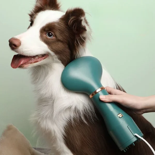 Dog Hair Dryer: High Velocity, 2 in 1