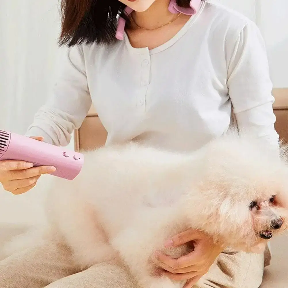 dog hair dryers