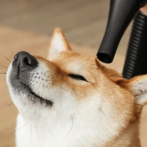 Dog Hair Dryer: 2800W Adjustable Speed with 4 Nozzles. - Image 4