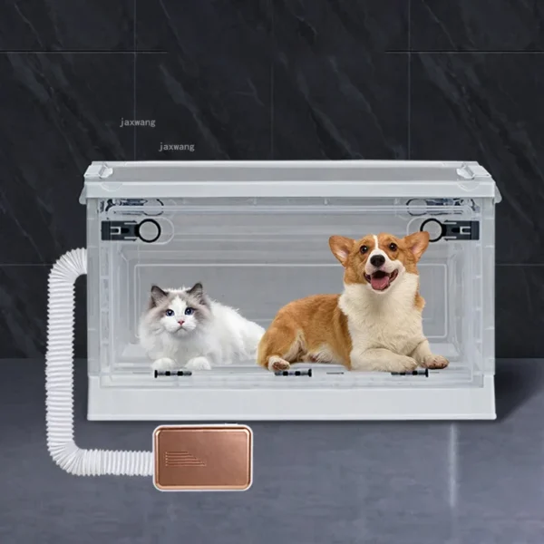 Dog Hair Dryer: Cat Drying Box