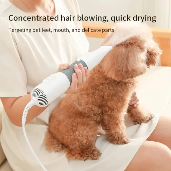 Dog Hair Dryer: 3-in-1 Quiet Grooming Kit